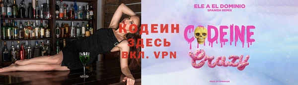 дмт Краснослободск