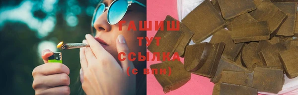 дмт Краснослободск