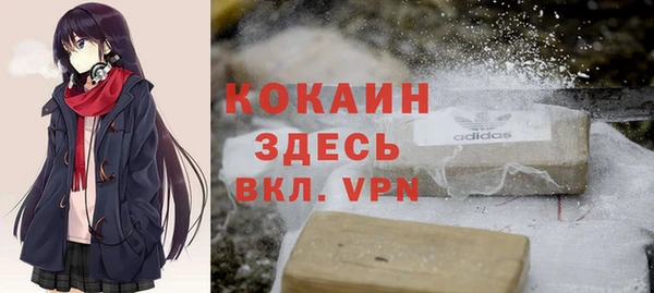 дмт Краснослободск