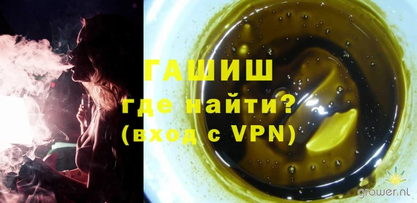 дмт Краснослободск