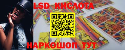 прущие крисы Камышлов