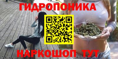 ПСИЛОЦИБИНОВЫЕ ГРИБЫ Ипатово