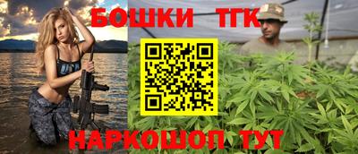 прущие крисы Камышлов