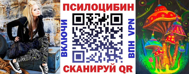 mega ONION Михайловка Псилоцибиновые грибы Cubensis