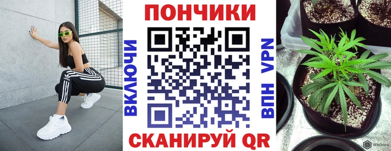 Шишки марихуана Bruce Banner  как найти наркотики  Михайловка 